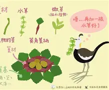 q?琾5?