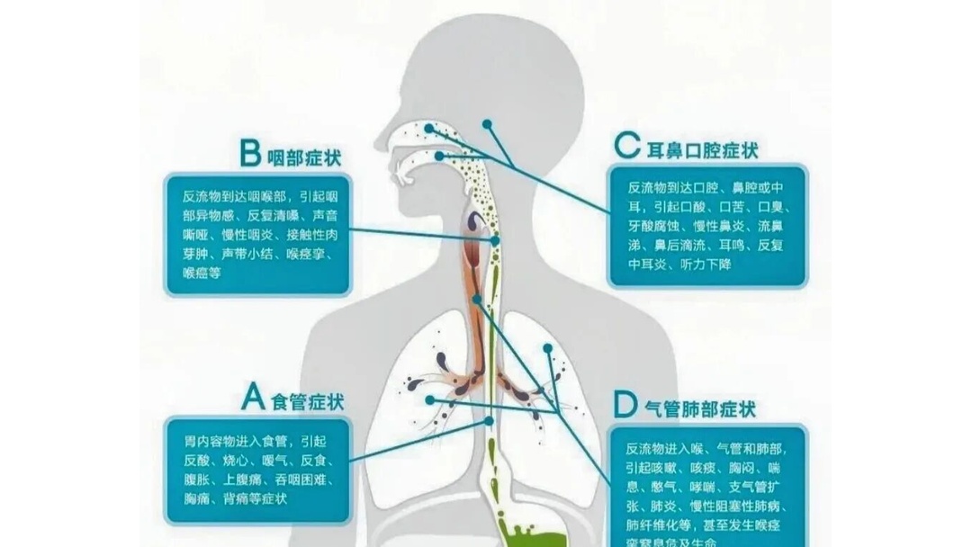 盐巴戟天的作用与功效-爱游戏